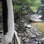 12118696_514023068771835_4590365172864640289_n